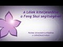 609582_17173_n_1